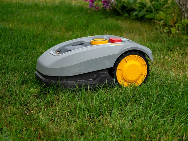 Robot çim biçme makinesi çimleri biçiyor. Robot çim biçme makinesi yakın plan..