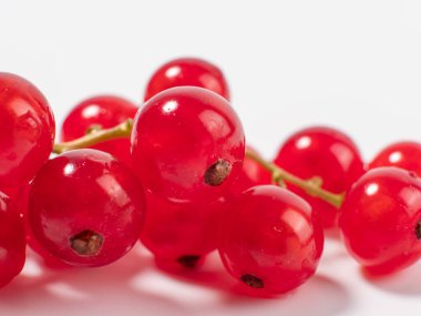 Hafif bir arka planda olgun kırmızı frenk üzümü. Frenk üzümü yakın çekim