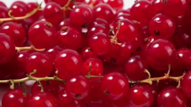 Hafif bir arka planda olgun kırmızı frenk üzümü. Frenk üzümü yakından..