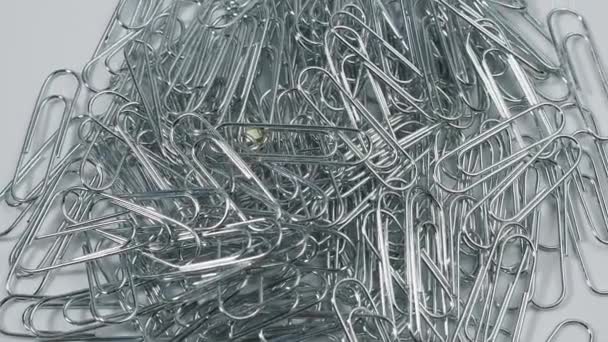 Metal Rotating Paper Clips Paper Clips Close — Stock Video