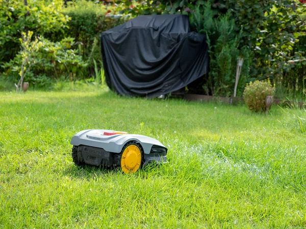 Robot lawn mower mows the lawn. Lawn mower close-up.
