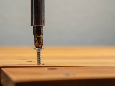 Vidalar tornavidayla tahtaya vidalanmış. Vidalar yakın çekim.