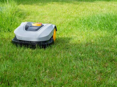 Robot çim biçme makinesi çimleri biçiyor. Çim biçme makinesi yakın plan..