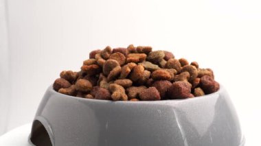 Beyaz arka planda dönüşümlü köpek maması. Köpekler için ikramlar.