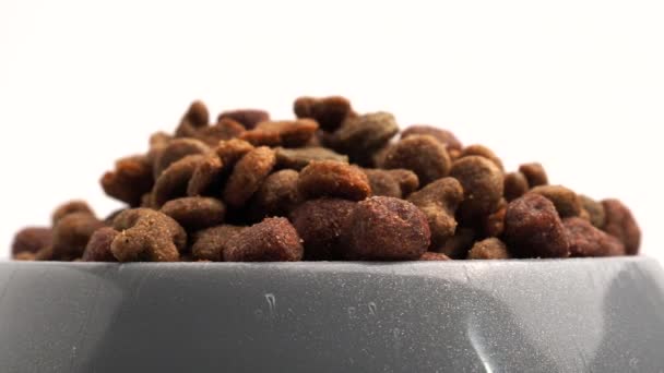Rotating Dog Food White Background Treats Dogs — Stock Video