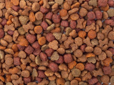 Beyaz arka planda köpek maması. Köpekler için ikramlar.