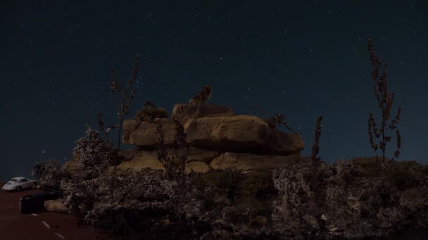 Câinele Stă Stâncă Înaltă Privește Stelele Cerul Nopții Scena Naturii — Videoclip de stoc