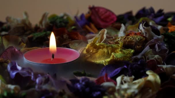 Высушенные Лепестки Цветов Мягко Зажженная Свеча Изящно Выходят Тонкой Неземной — стоковое видео