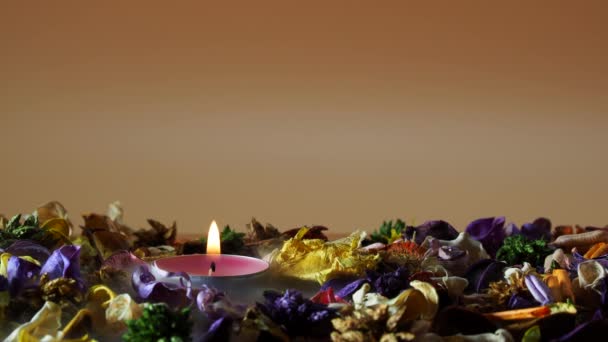 Ξερά Πέταλα Λουλουδιών Και Ένα Απαλά Αναμμένο Κερί Αναδύονται Χάρη — Αρχείο Βίντεο