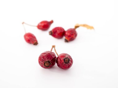 Beyaz arka planda kurumuş gül kalçaları. Rosehip yakın plan.