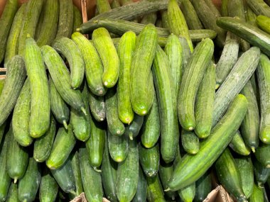 Marketteki salatalıklar. Mağazadaki taze salatalıklar.