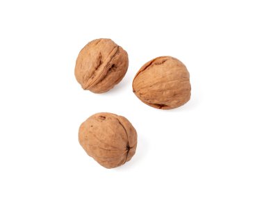 Ceviz, beyaz arka planda izole edilmiş. Ceviz beyaza yakın çekim.