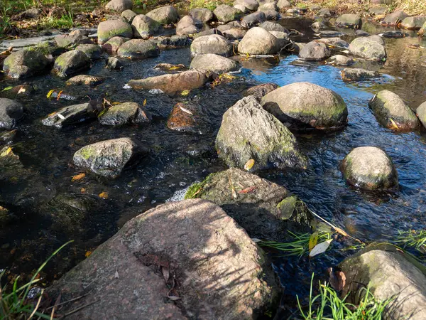 Water flows among the stones. Flow of water and stones. Stones in flowing water.