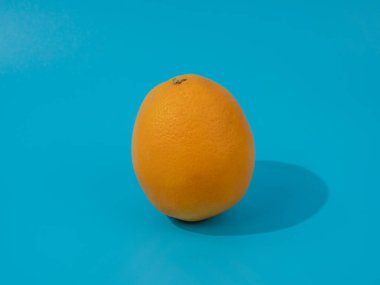 Mavi arka planda olgun portakallar. Mavi üzerine portakallar.