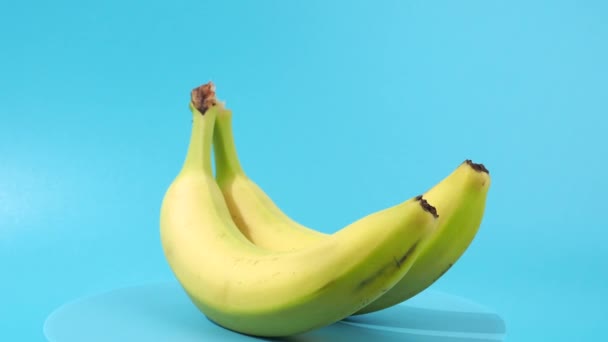 Dojrzałe Banany Obracają Się Niebieskim Tle Banany Zbliżenie Niebieski — Wideo stockowe