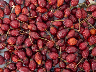 Beyaz arka planda kurumuş gül kalçaları. Rosehip yakın plan.