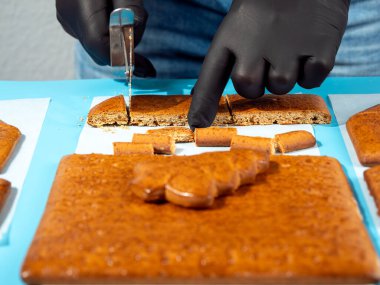 Geleneksel Noel pastası. Geleneksel Noel kurabiyesi evi için kek pişiriyoruz..