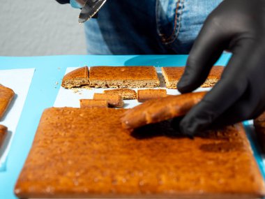 Geleneksel Noel pastası. Geleneksel Noel kurabiyesi evi için kek pişiriyoruz..