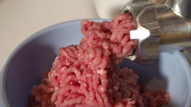 Grinding Meat Using Electric Meat Grinder Electric Meat Grinder Grinds — Stock Video