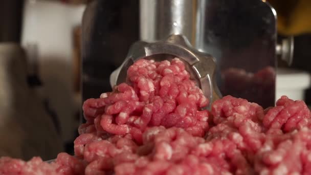 Grinding Meat Using Electric Meat Grinder Electric Meat Grinder Grinds — Stock Video