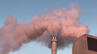 Elektrik santralinden duman çıkıyor. Pipodan yakın çekim duman. Ekoloji kavramı.