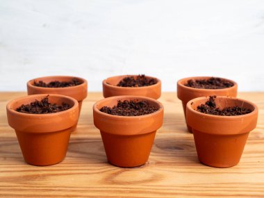 Tohum ekmek için seramik kaplar. Tohum saksılarına yakın çekim.