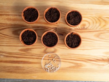 Tohum ekmek için seramik kaplar. Tohum saksılarına yakın çekim.