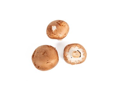 Beyaz arka planda Şampiyon mantarları. Şampiyon mantarları yakın plan..