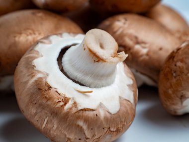 Beyaz arka planda Şampiyon mantarları. Şampiyon mantarları yakın plan..