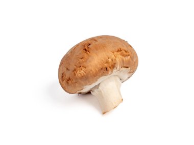 Beyaz arka planda Şampiyon mantarları. Şampiyon mantarları yakın plan..