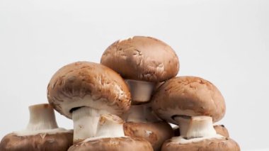 Şampiyon mantarları beyaz arka planda döner. Şampiyon mantarları yakın plan..