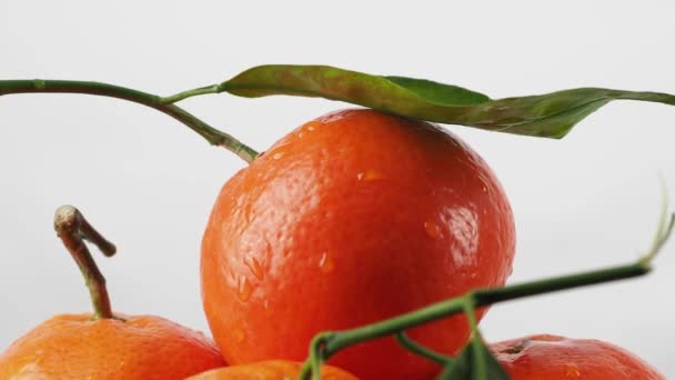 Tangerines Draaien Een Witte Achtergrond Tangerines Met Bladeren Wit — Stockvideo