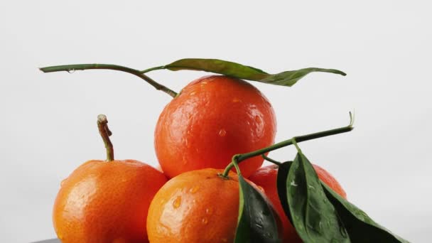 Les Tangerines Tournent Sur Fond Blanc Tangerines Avec Feuilles Sur — Video