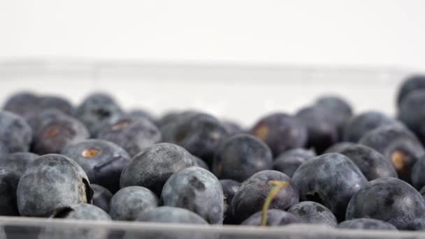 成熟的蓝莓在白色的背景上旋转 成熟的蓝莓近身 — 图库视频影像