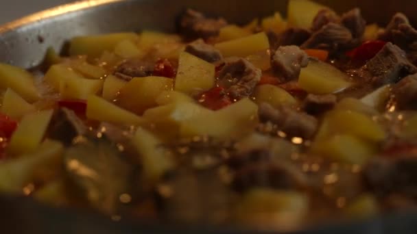 Batatas Com Carne Seasonings Cozinham Uma Panela Ato Fritar Cozinhar — Vídeo de Stock