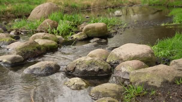 春天的融水在石头之间流淌 泉水或水流缓慢运动 — 图库视频影像