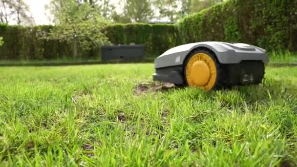 기계는 잔디밭에 잔디를 자릅니다 클로즈업 — 비디오