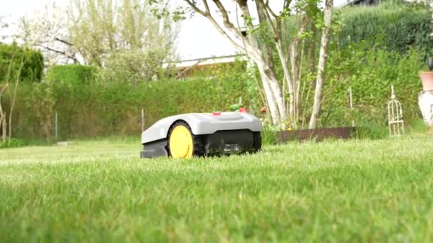 ロボット芝刈り機は芝生に若い緑の草をカットする ロボット芝刈り機クローズアップ — ストック動画