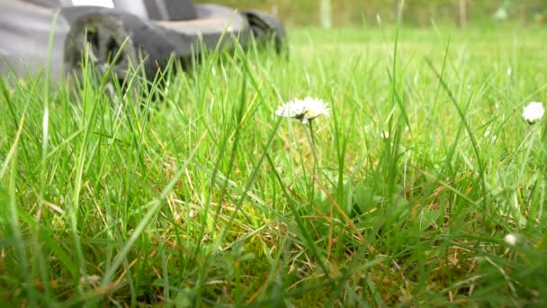 Ein Mann Mäht Seinen Rasen Mit Einem Elektrischen Rasenmäher Elektrischer — Stockvideo