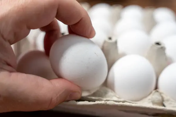 A man\'s hand holds a chicken egg against the background of packages of chicken eggs. Chicken egg close-up.