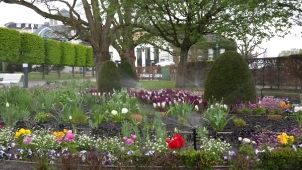 Bewässerungssystem Für Einen Club Mit Blumen Park Bewässerungssystem Einsatz — Stockvideo