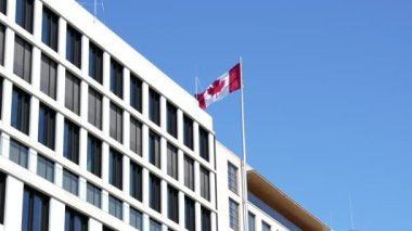 Mavi gökyüzüne karşı Kanada bayrağı sallıyor. Binanın çatısında Kanada bayrağı.