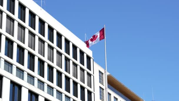 Acenando Bandeira Canadense Contra Céu Azul Bandeira Canadense Telhado Edifício — Vídeo de Stock