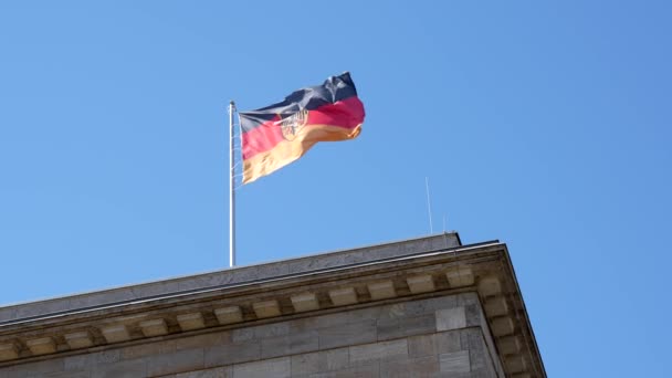 Macha Niemiecką Flagą Przed Błękitnym Niebem Flaga Niemiecka Herbem Dachu — Wideo stockowe