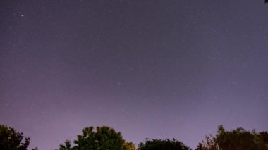 Gece gökyüzünün zaman atlaması. Ağaçların tepesinde yıldızlı gece gökyüzü.