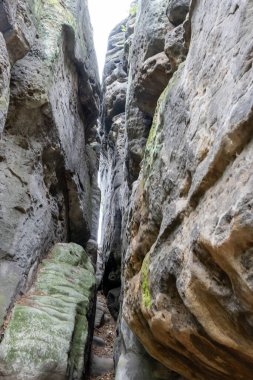 İki tarafında büyük bir kaya duvarı olan dar bir kanyon. Duvar yosunla kaplı ve zemin toprakla kaplı.