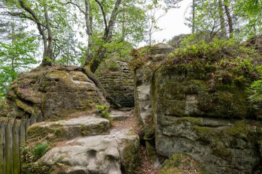 Kayaların üzerinde yosun yetişen kayalık bir bölge. Yosun yeşil ve kahverengi renktedir. Kayalar büyük ve pürüzlü ve arka planda bir çit var.
