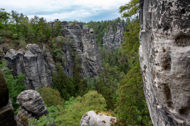 Önünde orman olan bir dağ sırası. Ağaçlar yeşil ve gökyüzü bulutlu
