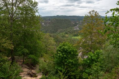 Dağ manzaralı bir orman. Ağaçlar yeşil ve gökyüzü bulutlu