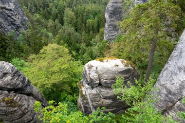 Tepesinde orman olan bir dağ sırası. Ağaçlar yeşil ve gökyüzü mavi.